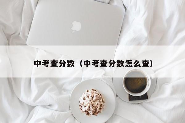 中考查分数（中考查分数怎么查）