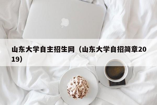 山东大学自主招生网（山东大学自招简章2019）