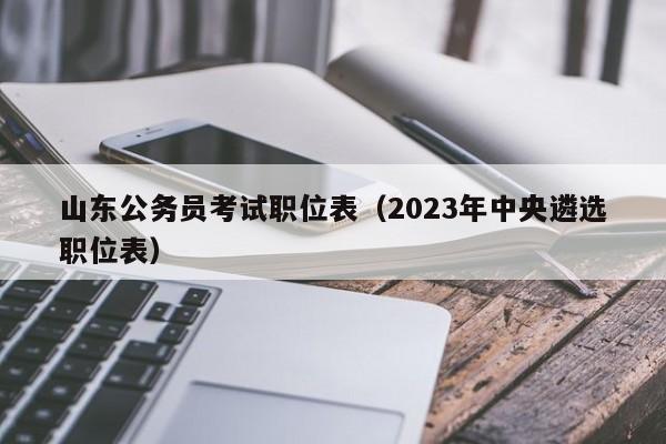 山东公务员考试职位表（2023年中央遴选职位表）