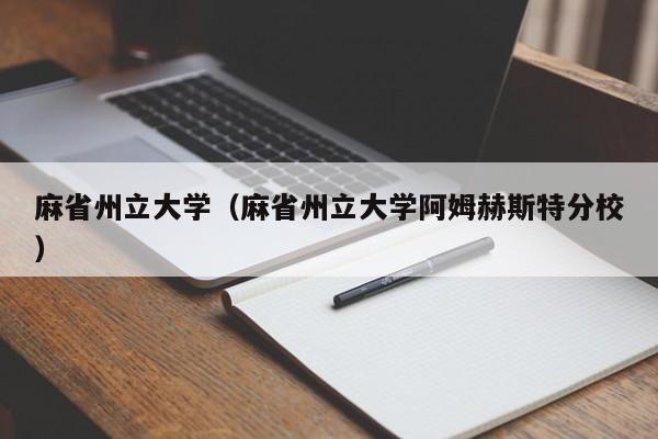 麻省州立大学（麻省州立大学阿姆赫斯特分校）