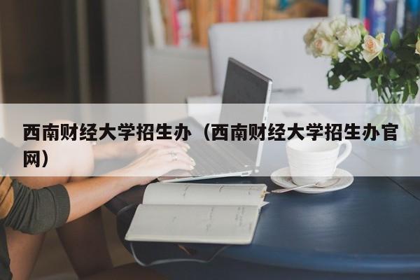 西南财经大学招生办（西南财经大学招生办官网）