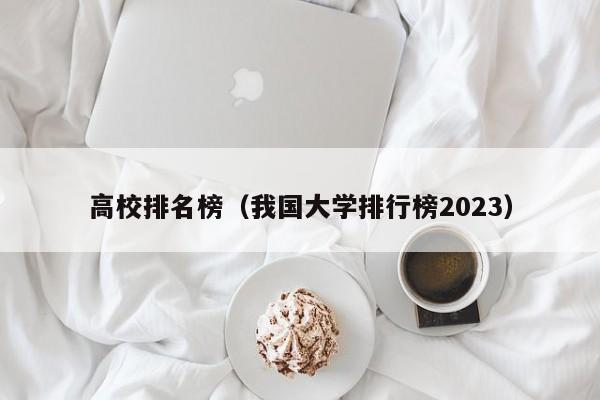 高校排名榜（我国大学排行榜2023）