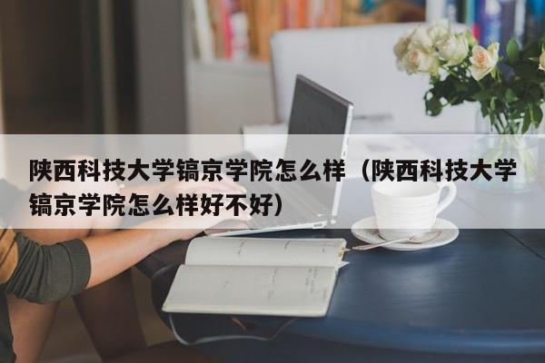 陕西科技大学镐京学院怎么样（陕西科技大学镐京学院怎么样好不好）