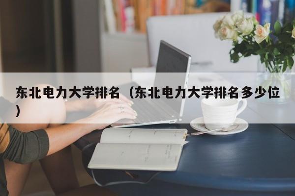 东北电力大学排名（东北电力大学排名多少位）