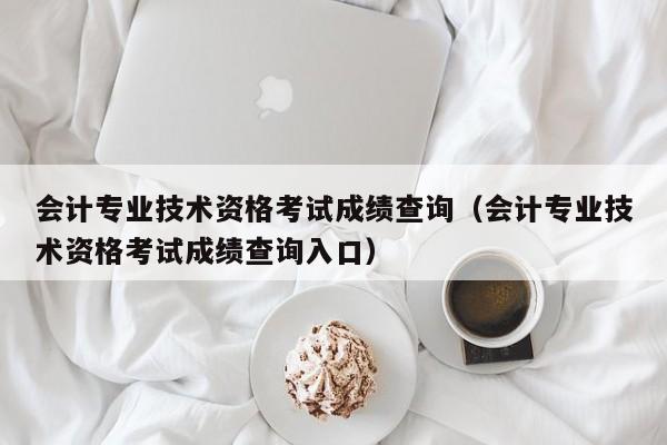 会计专业技术资格考试成绩查询（会计专业技术资格考试成绩查询入口）