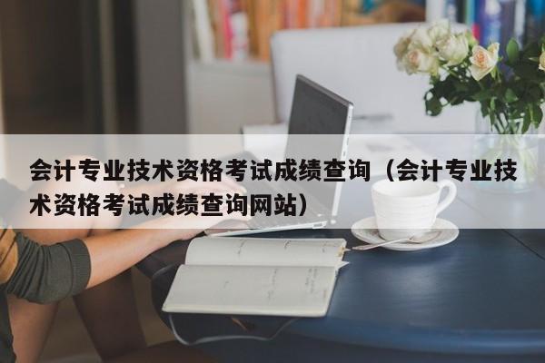 会计专业技术资格考试成绩查询（会计专业技术资格考试成绩查询网站）