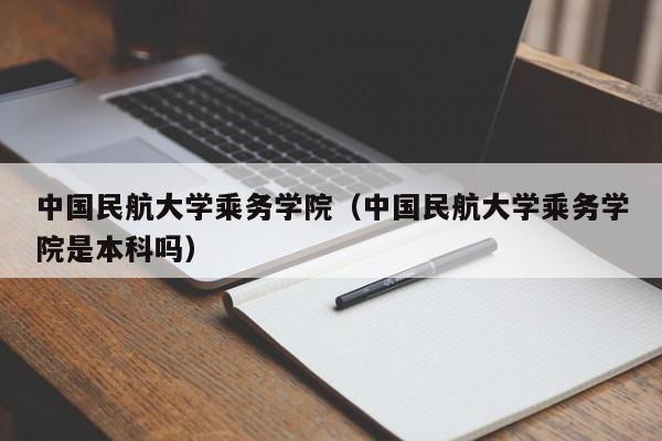 中国民航大学乘务学院（中国民航大学乘务学院是本科吗）