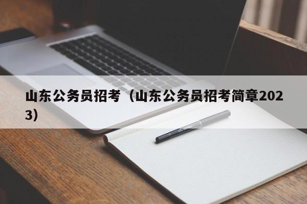 山东公务员招考（山东公务员招考简章2023）