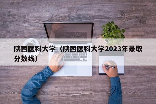 陕西医科大学（陕西医科大学2023年录取分数线）