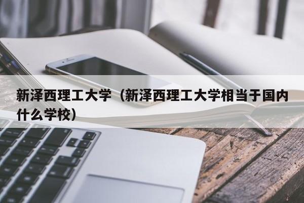 新泽西理工大学（新泽西理工大学相当于国内什么学校）