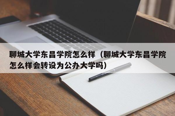 聊城大学东昌学院怎么样（聊城大学东昌学院怎么样会转设为公办大学吗）