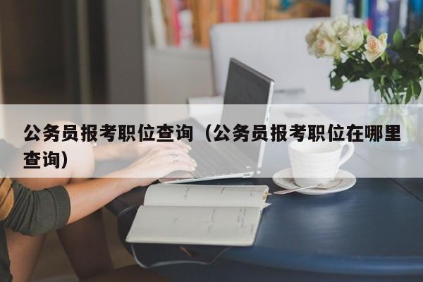 公务员报考职位查询（公务员报考职位在哪里查询）